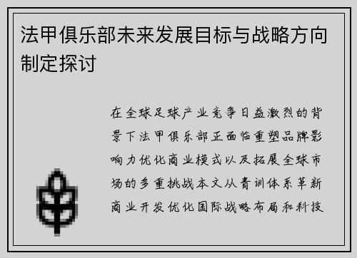 法甲俱乐部未来发展目标与战略方向制定探讨